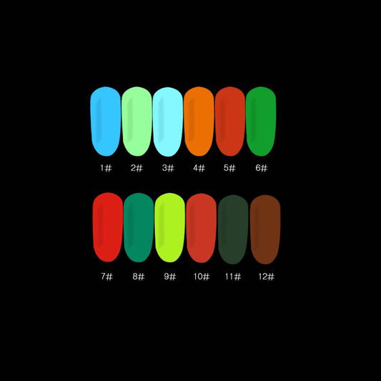 Glow In the dark powder 12pcs