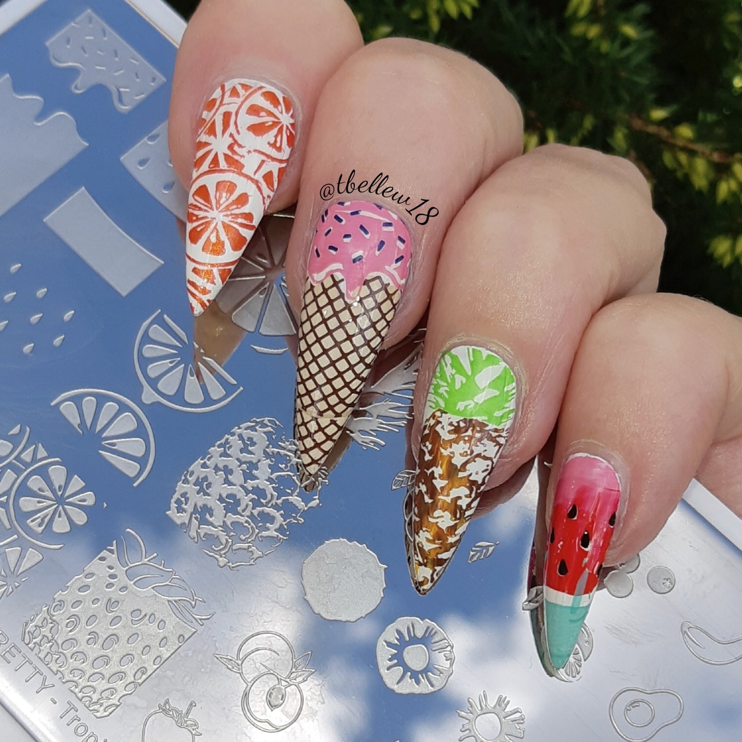 Tropical Punch Fruit Born Pretty Nail Stamping Plate - L004