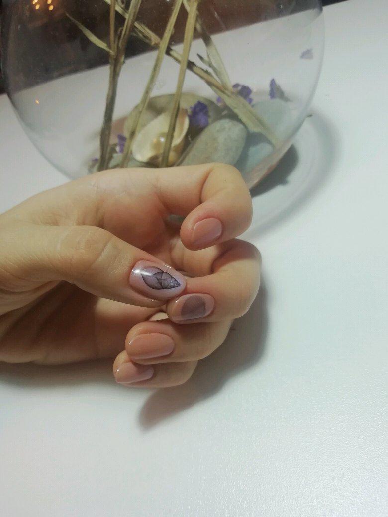 Sea shell Seahorse Nail Decal stz683