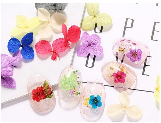 Hydrangea Flowers Petals Tiny Baby's Breath Dried Florets Green Leaf Elegant Nail Art