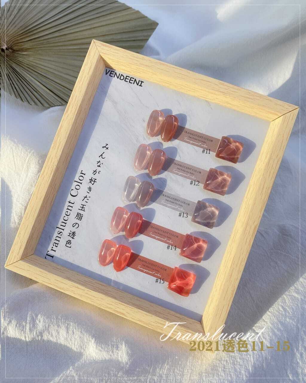 Vendeeni Translucent Gel Polish 15ml 6 Bottles