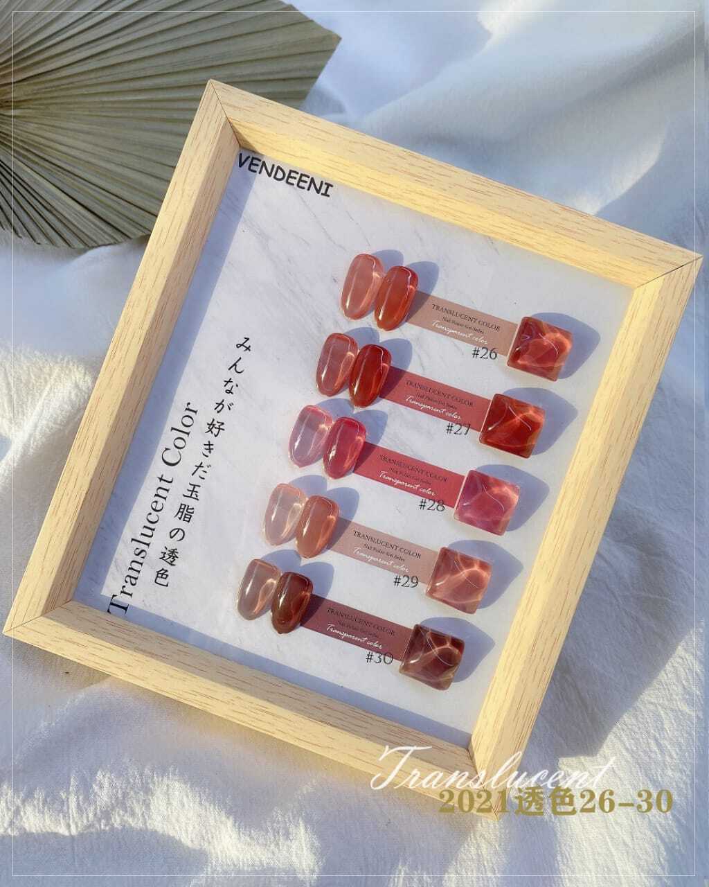 Vendeeni Translucent Gel Polish 15ml 6 Bottles