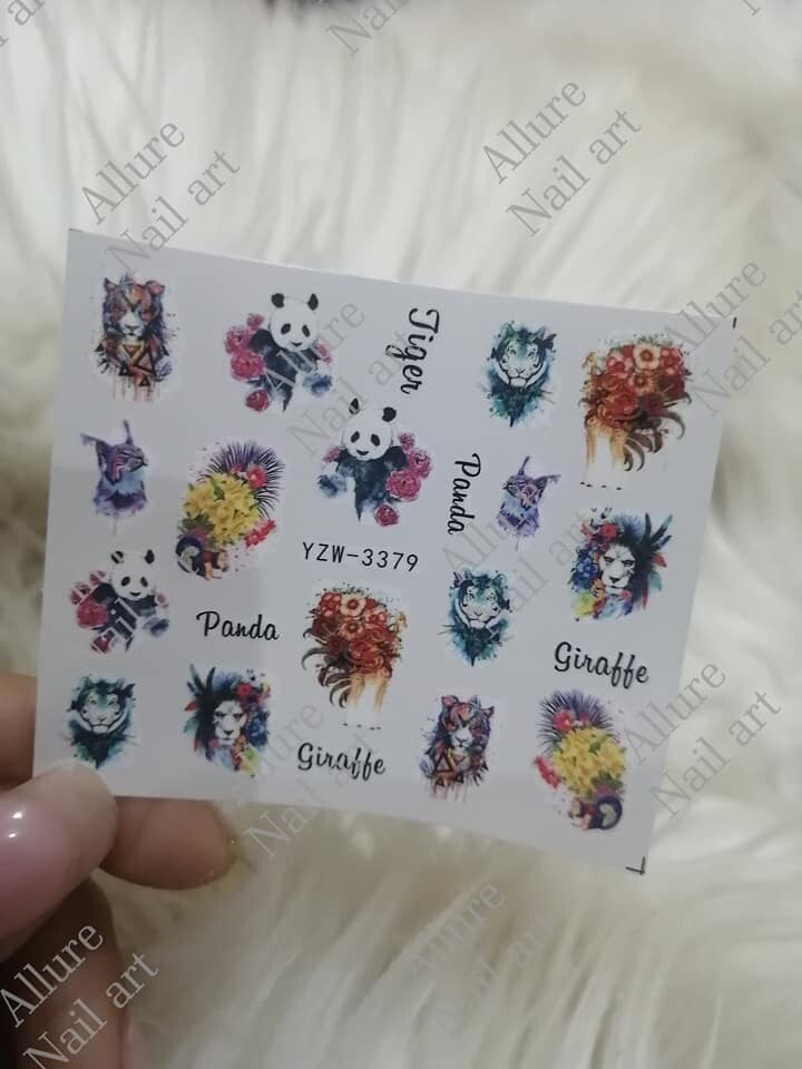 Decal YZW3379