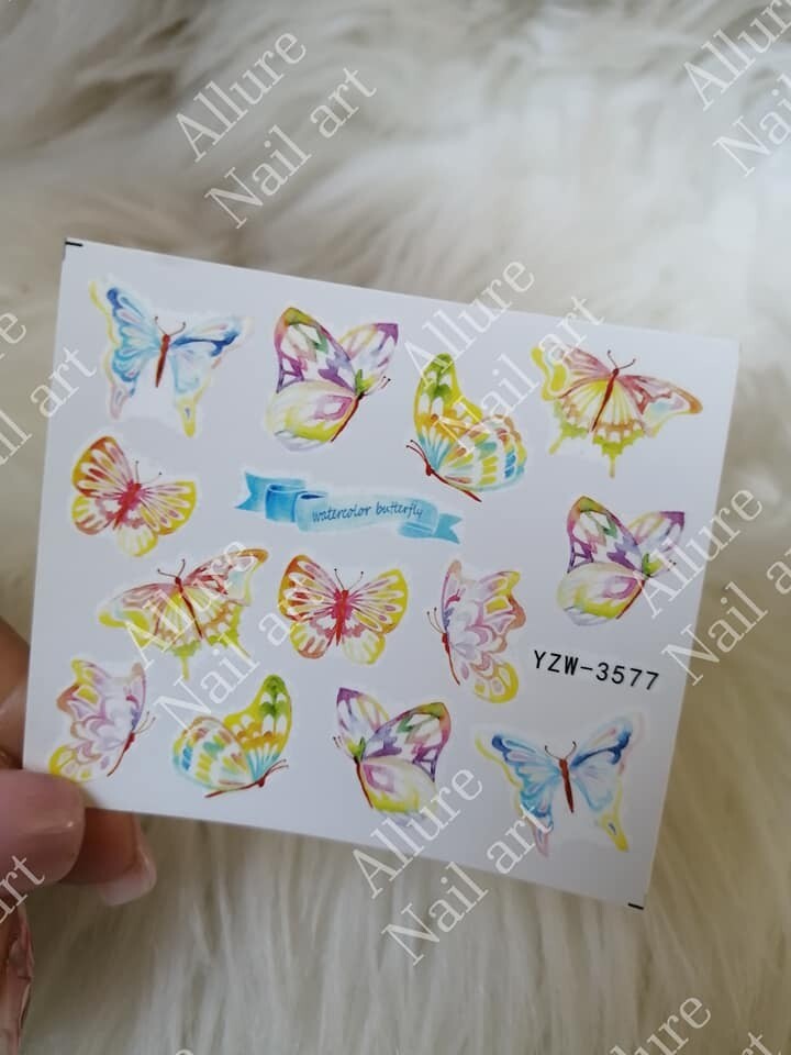 Decal YZW3577