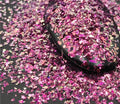 Chameleon Shards Glitter 407
