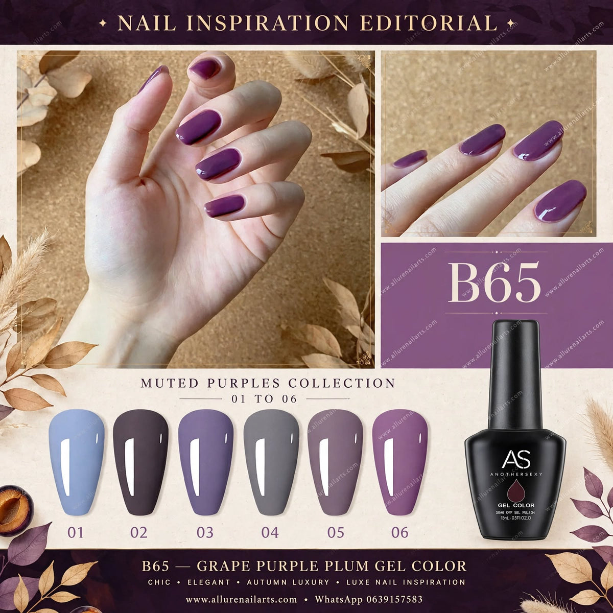 AS Gel Polish B65 Series 6pcs set