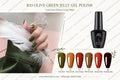 AS Gel Polish B33 Series 6pcs set