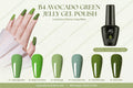 AS Gel Polish B04 Series set