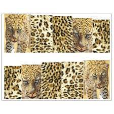 Cheetah Leopard Animal Print Nail Decal