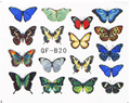 Butterfly Nail Decal