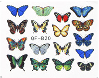 Butterfly Nail Decal