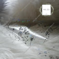 Holographic Foil Nail Transfer