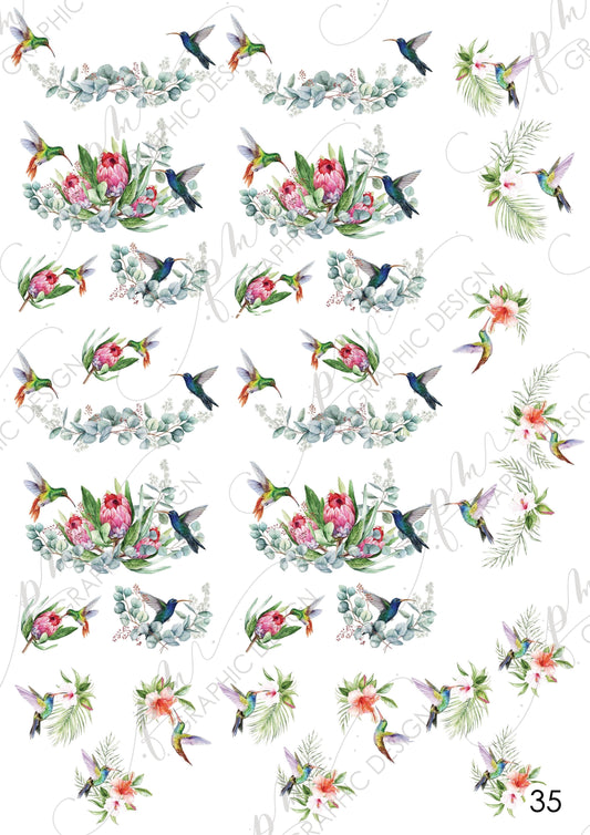Nail decal PM35 Birds Leaves Proteas