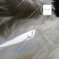 Holographic Foil Nail Transfer
