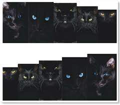 Cat Nail Decal