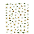 Bee Daisy Nail Art Sticker
