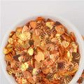 Sea Shell Sequin 5g Jars